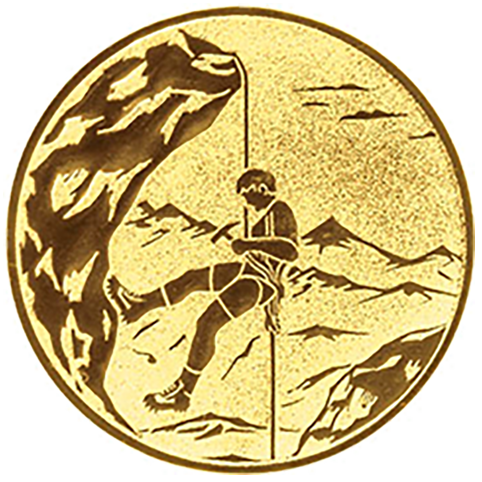 Emblem Bergsteigen (50mm Gold)