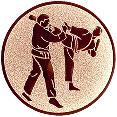 Emblem Karate (50mm Bronze)