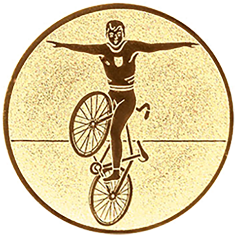 Emblem Kunstfahren (50mm Gold)