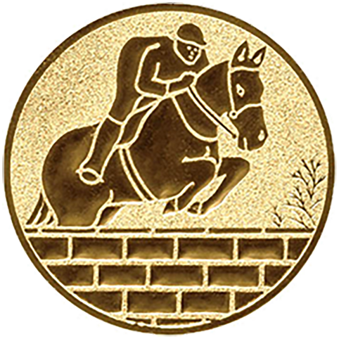 Emblem Reiten  (50mm Gold)