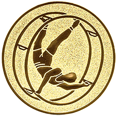 Emblem Rhönrad (50mm Gold)