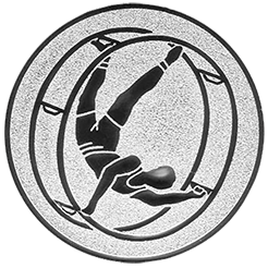 Emblem Rhönrad (25mm Silber)