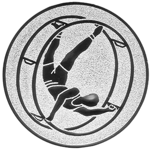Emblem Rhönrad (50mm Silber)