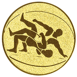 Emblem Ringen (25mm Gold)