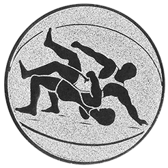 Emblem Ringen (25mm silber)