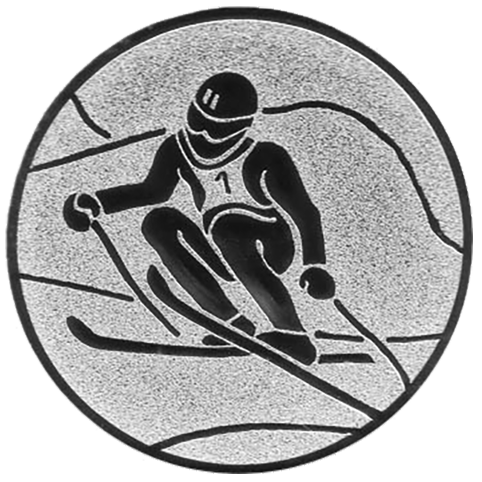 Emblem Ski   (50mm Silber)
