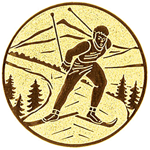 Emblem Ski   (50mm Gold)