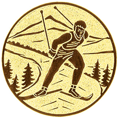 Emblem Ski  (25mm Gold)