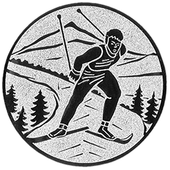 Emblem Ski   (25mm Silber)