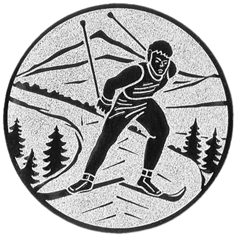 Emblem Ski   (50mm Silber)
