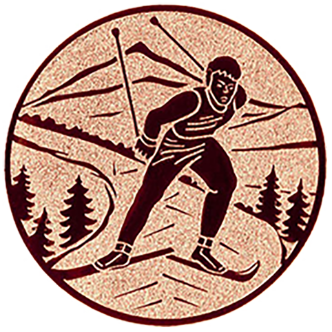 Emblem Ski  (50mm Bronze)
