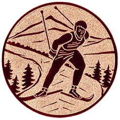 Emblem Ski  (25mm Bronze)