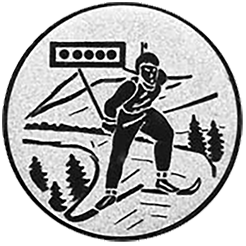 Emblem Ski Biathlon (25mm Silber)