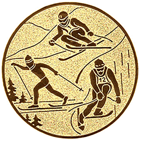 Emblem Ski Kombination (50mm Gold)