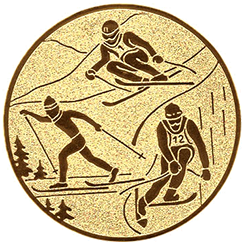 Emblem Ski Kombination (25mm Gold)