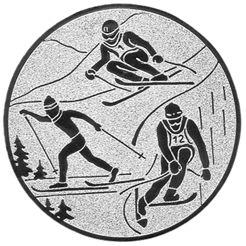 Emblem Ski Kombination  (50mm Silber)