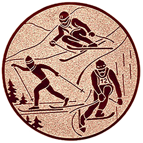 Emblem Ski Kombination (50mm Bronze)