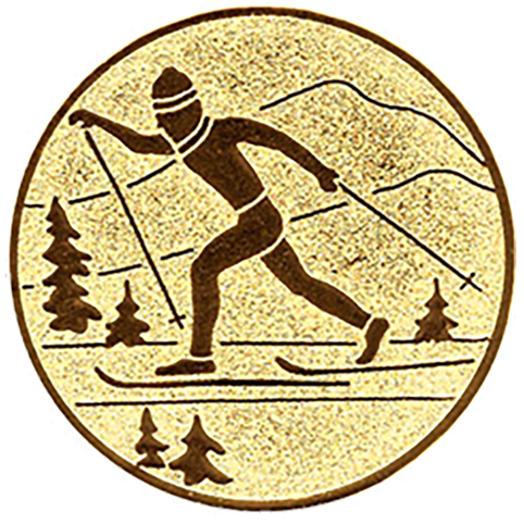 Emblem Ski Langlauf (50mm Gold)