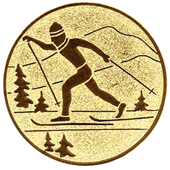 Emblem Ski Langlauf (25mm Gold)