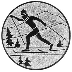 Emblem Ski Langlauf  (25mm Silber)