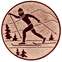 Emblem Ski Langlauf (25mm Bronze)