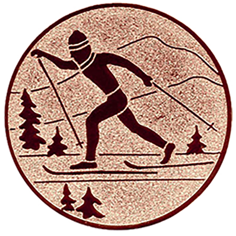 Emblem Ski Langlauf (50mm Bronze)