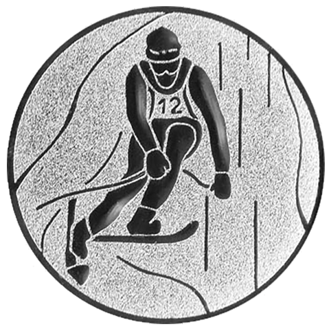 Emblem Ski Slalom (50mm Silber)