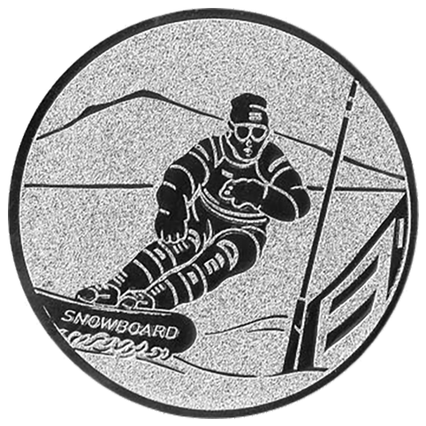 Emblem Snowboard (50mm Silber)