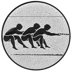 Emblem 61245_n (25mm Silber)