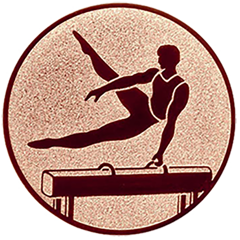 Emblem Turnen Herren (50mm Bronze)