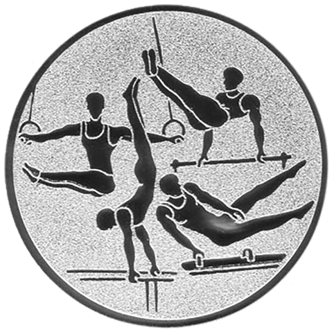 Emblem Turnen Herren (50mm Silber)