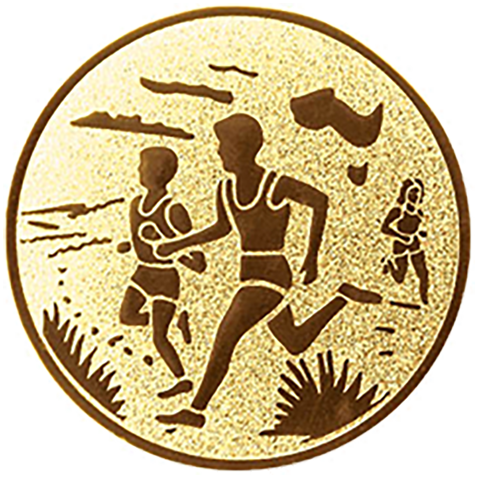 Emblem Volkslauf (50mm Gold)