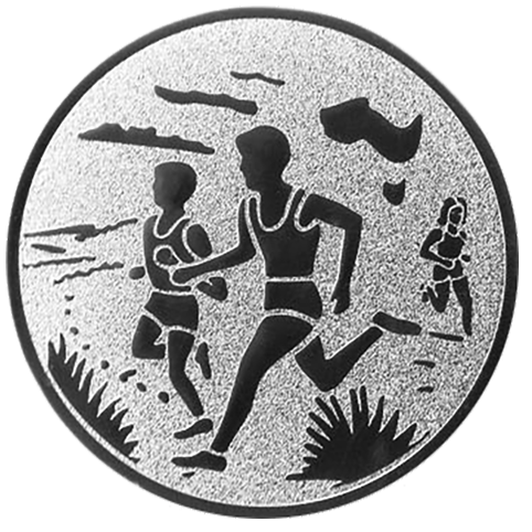 Emblem Volkslauf (50mm Silber)