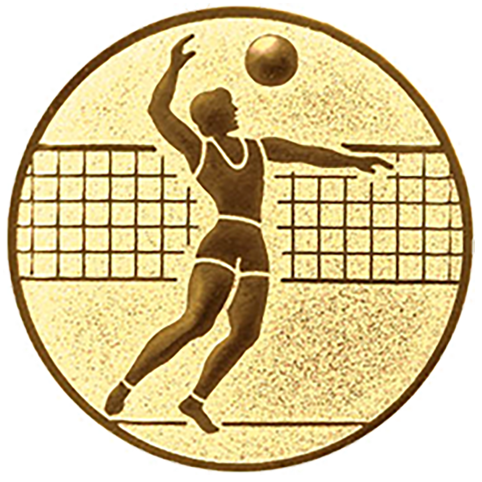 Emblem Volleyball Herren (50mm Gold)