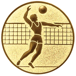 Emblem Volleyball Herren (25mm Gold)