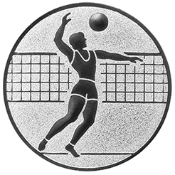 Emblem Volleyball Herren (25mm Silber)