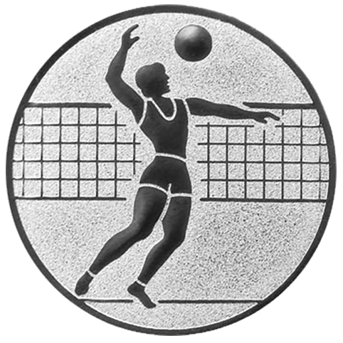 Emblem Volleyball Herren (50mm Silber)