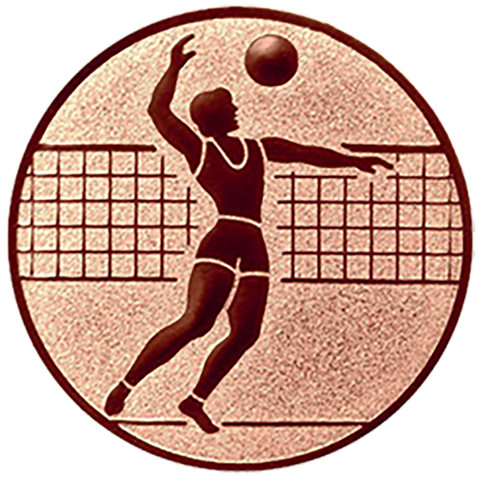 Emblem Volleyball Herren (50mm Bronze)