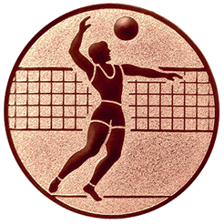 Emblem Volleyball Herren (25mm Bronze)