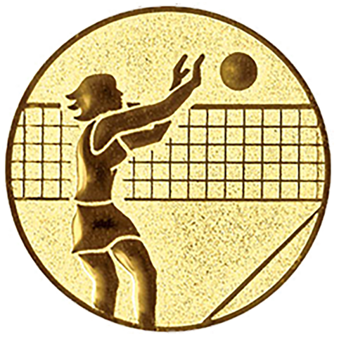 Emblem Volleyball Damen (50mm Gold)
