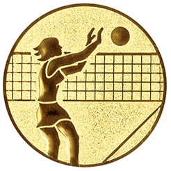 Emblem Volleyball Damen (25mm Gold)