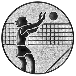 Emblem Volleyball Damen (25mm Silber)