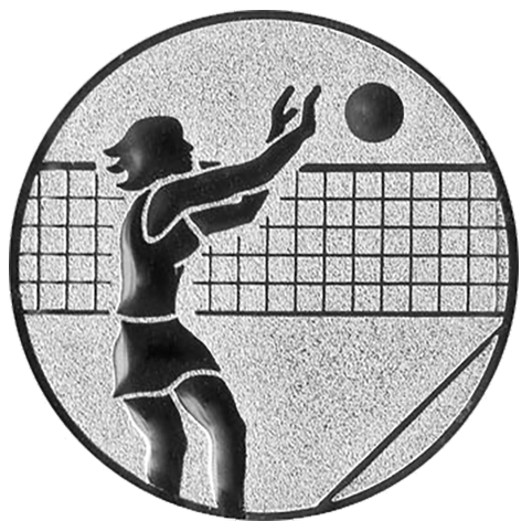 Emblem Volleyball Damen (50mm Silber)