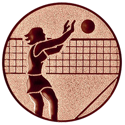 Emblem Volleyball Damen (25mm Bronze)