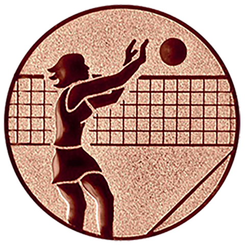 Emblem Volleyball Damen (50mm Bronze)