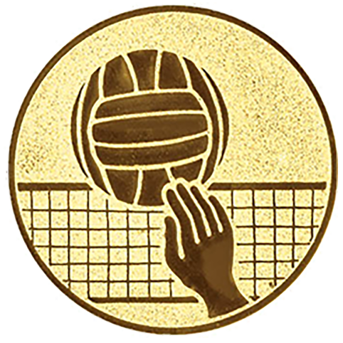 Emblem Volleyball Neutral (50mm Gold)
