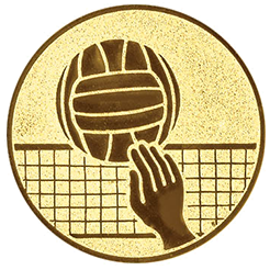 Emblem Volleyball (25mm Gold)