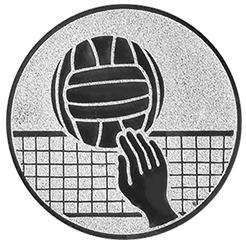 Emblem Volleyball  (25mm Silber)