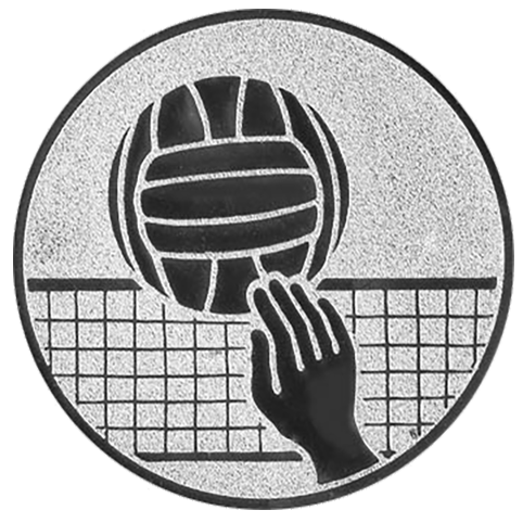 Emblem Volleyball  (50mm Silber)