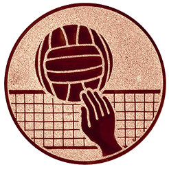 Emblem Volleyball  (25mm Bronze)